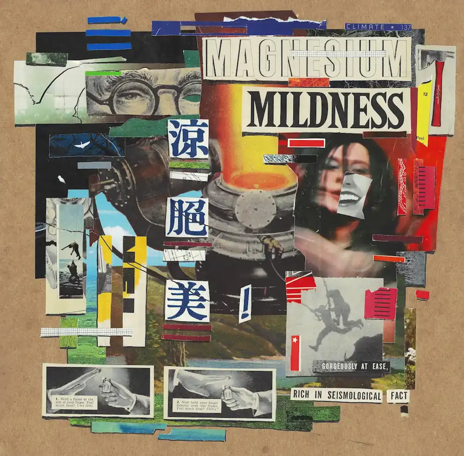 Collage - Magnesium Mildness 2025