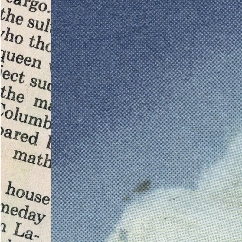 Anatomy of Melancholy - Detail 02