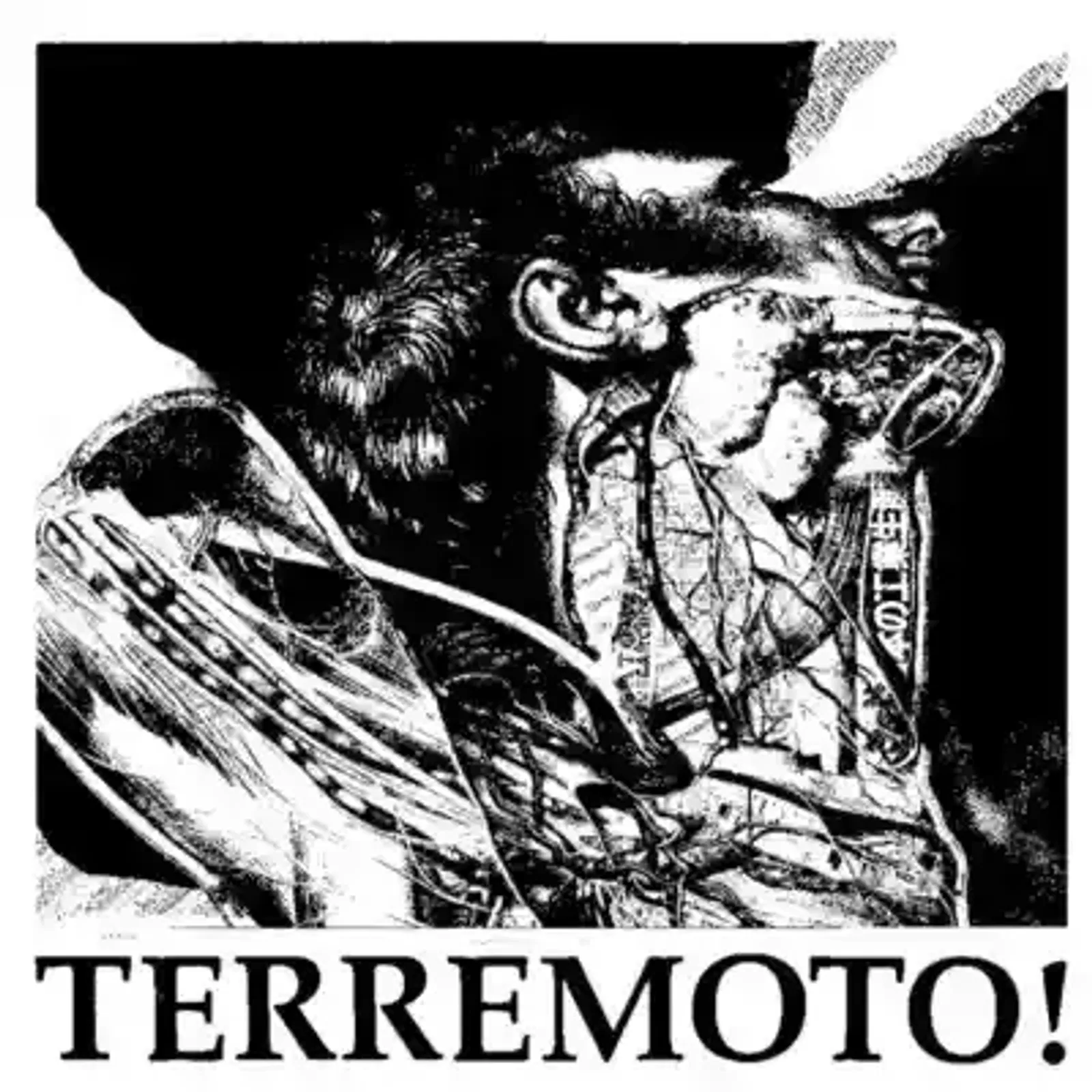 Terremoto GIF